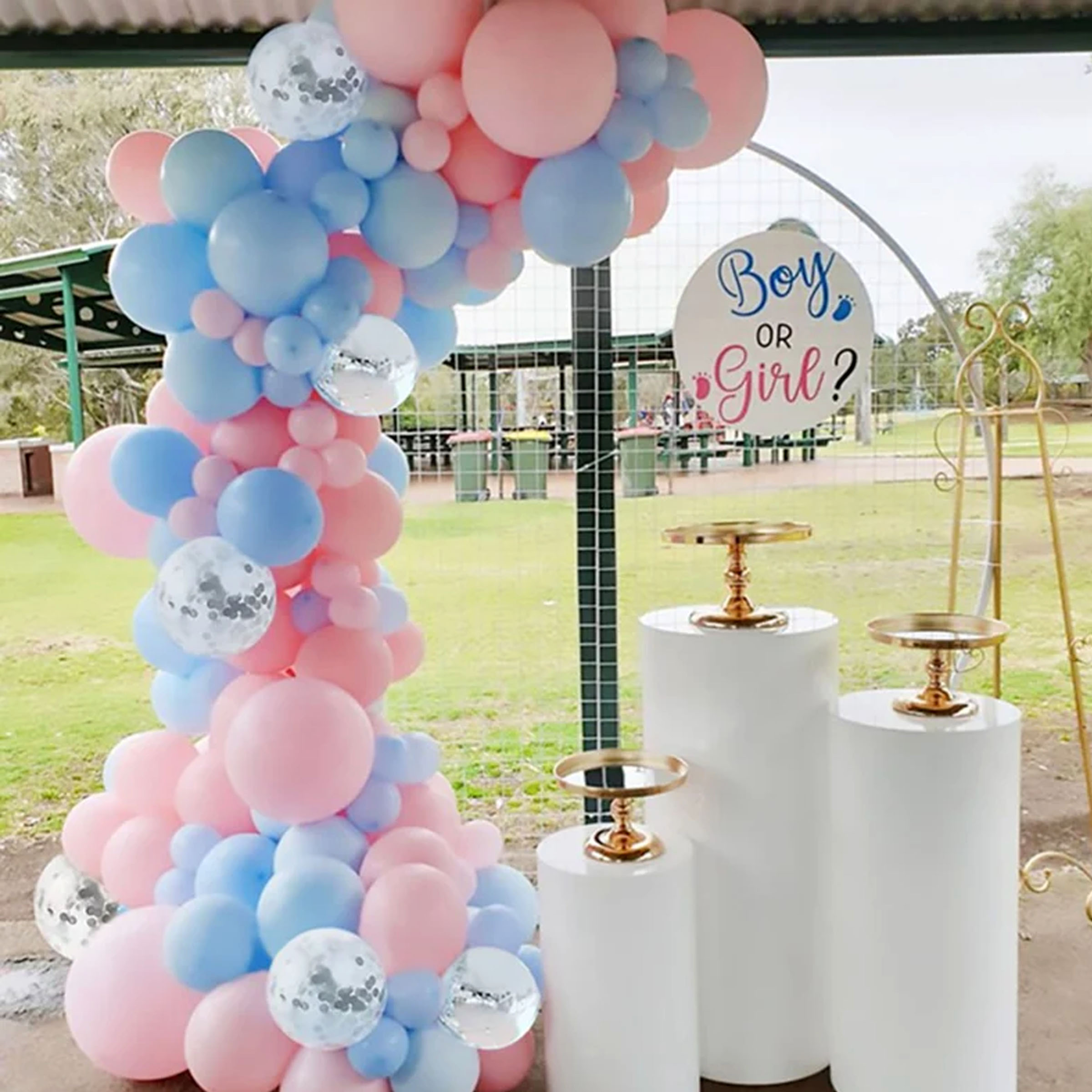 Gender Reveal